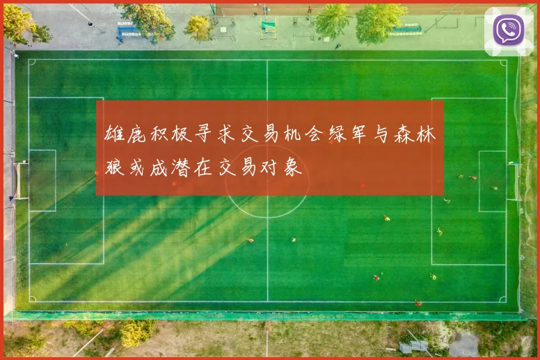雄鹿积极寻求交易机会绿军与森林狼或成潜在交易对象