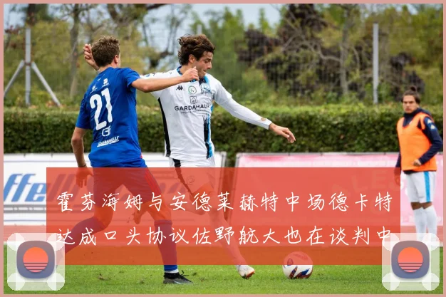 霍芬海姆与安德莱赫特中场德卡特达成口头协议佐野航大也在谈判中