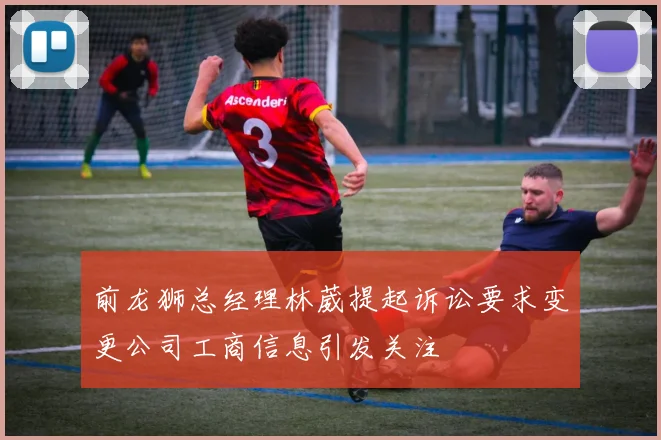 前龙狮总经理林葳提起诉讼要求变更公司工商信息引发关注